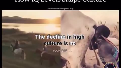 How IQ Levels Shape Culture