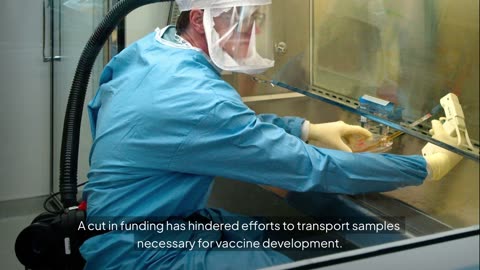 Have you ever wondered how flu vaccines are created?