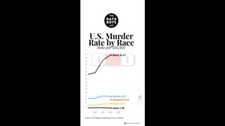 UNITED STATES MURDER RATE BY RACE 100K PRE CAPITA (2000-2023)