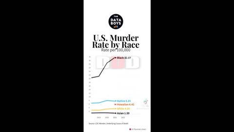 UNITED STATES MURDER RATE BY RACE 100K PRE CAPITA (2000-2023)