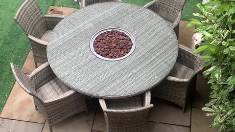 POV: Your Toddler Gets in the Middle of Zoomies