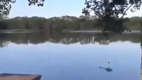 Helicopter Crash, Damn