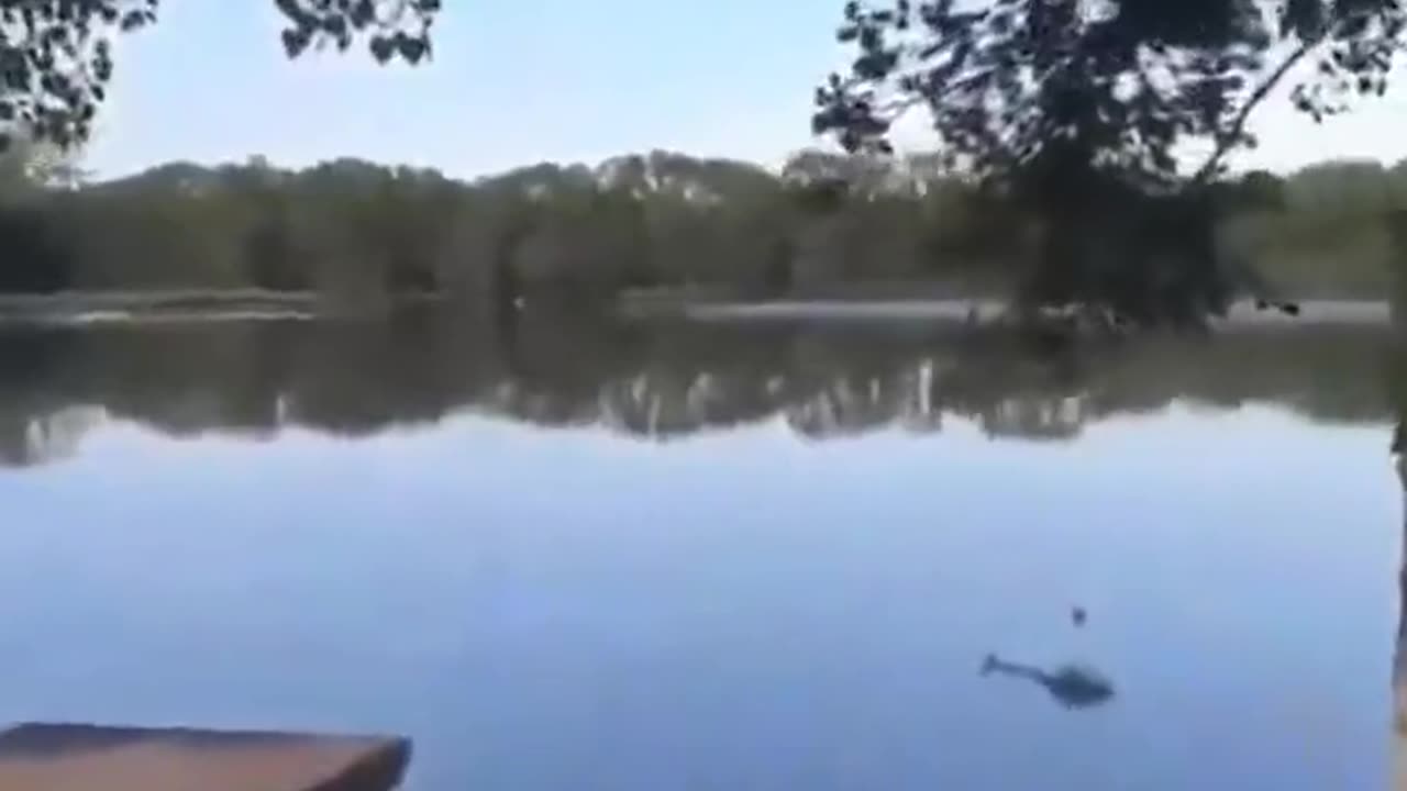 Helicopter Crash, Damn