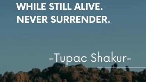 Never Surrender