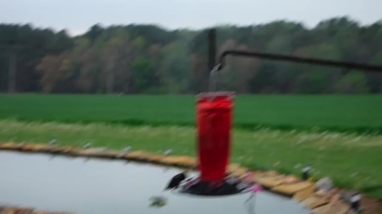 Screen Porch Gets Metal Roof. How I Get Great Stuff Sealant Way Down With Pex Pipe. Part 8