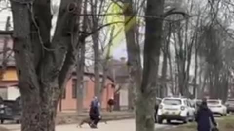 Dog Tries To Defend Owner