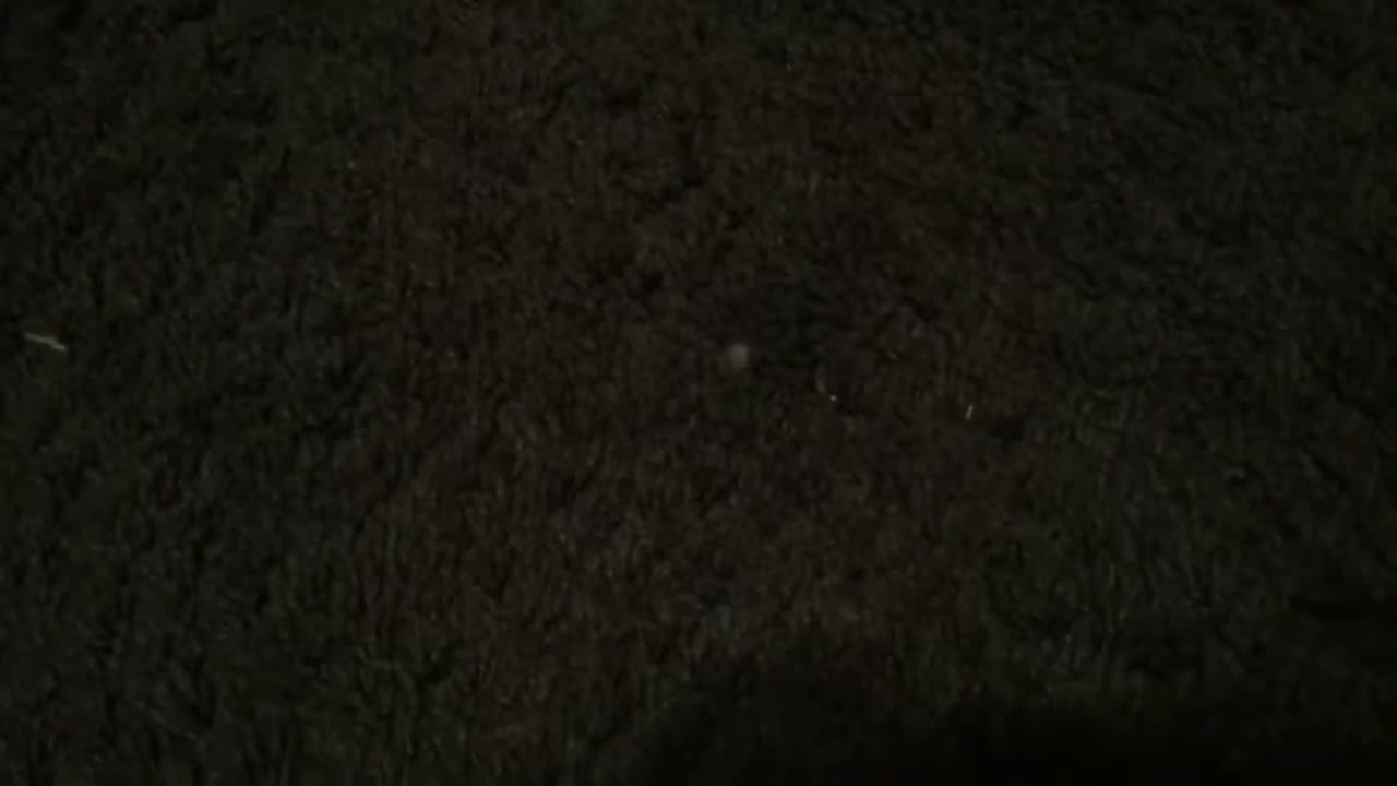 Super sunshine bros： the ground!