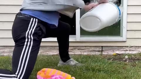 If cleaning was timed sport