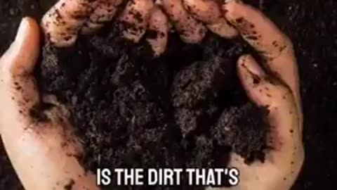 Big ag biotech companies are modifying soil microbes through genetic engineering.
