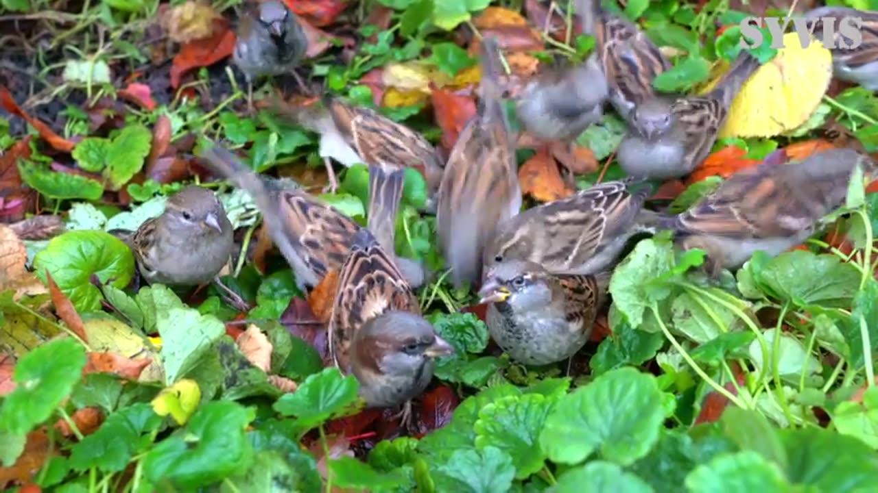 PRAYING THE PROMISES OF GOD - DAILY DEVOTIONAL POSITIVITY ❤️