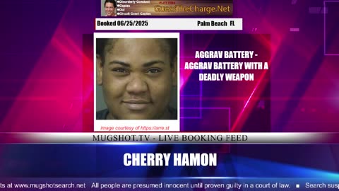 Mugshot TV - Live Arrest Booking Video Stream