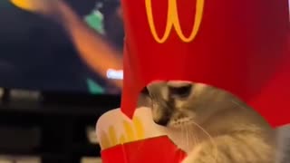 King Mcdonalds