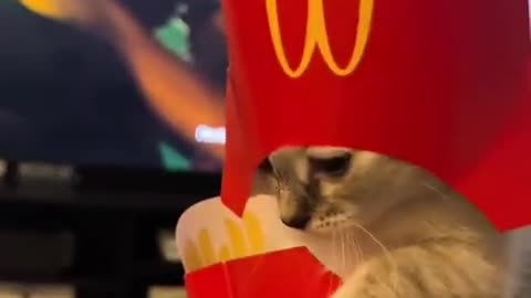 King Mcdonalds
