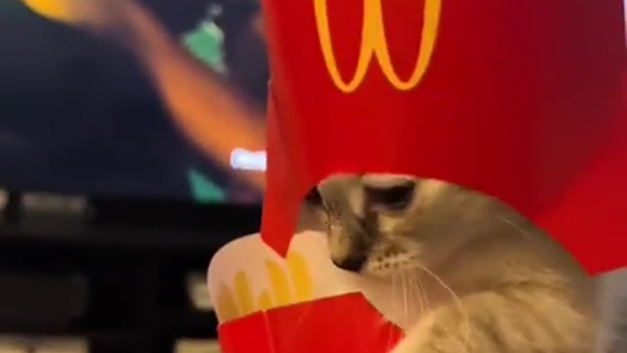 King Mcdonalds