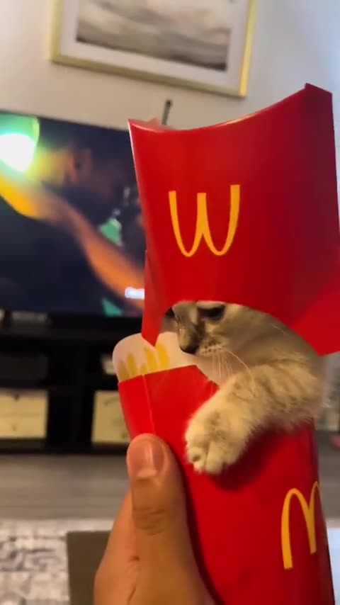King Mcdonalds