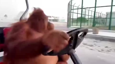 Security guard regular perimeter check