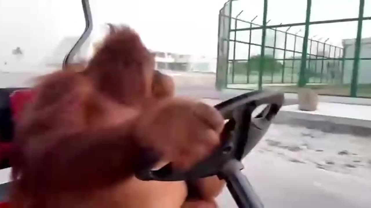 Security guard regular perimeter check