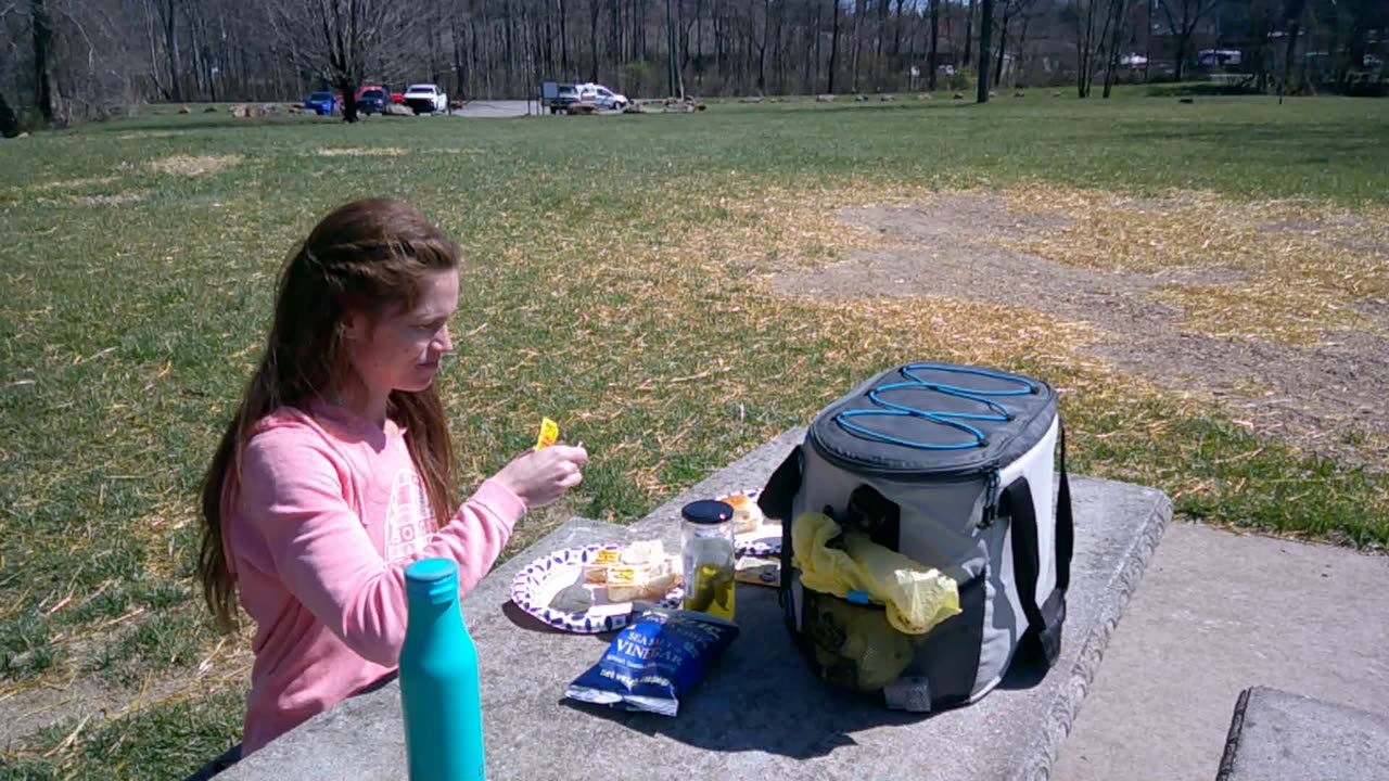 Redneck Picnic