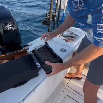 What would you do in this situation 💀