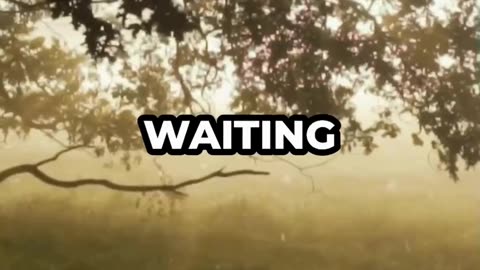 Rediscovering my true self #viral #mysteryinsid #trending #motivation #shortsfeed #urfeed #ibitalks