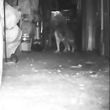 EA S153 - What IS That