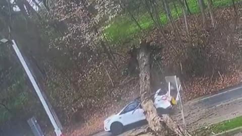 SEE IT! Moment tree came crashing down on a SUV in Pennsylvania Miraculously