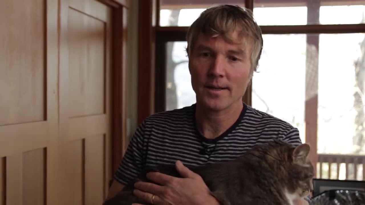 Cancer in Cats from Vaccines