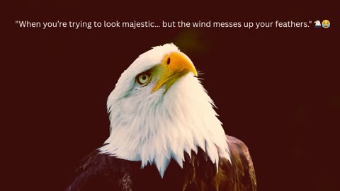 "Majestic Eagle in Action – King of the Sky"