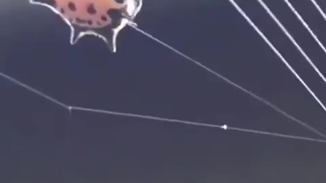 Web construction
