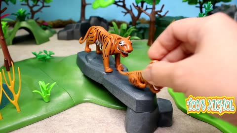 Gorillas Look For Fruit in the Middle of Forest to Have Lunch with Family