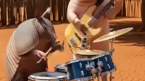 Cute little animal shorts viral video