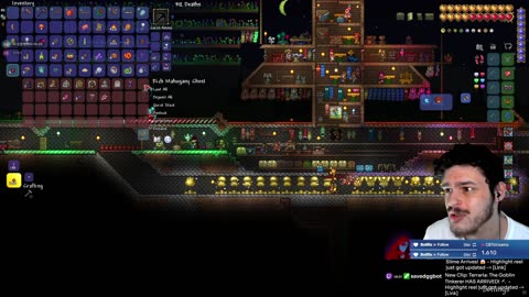 Terraria - Maybe we have the save idk lets see