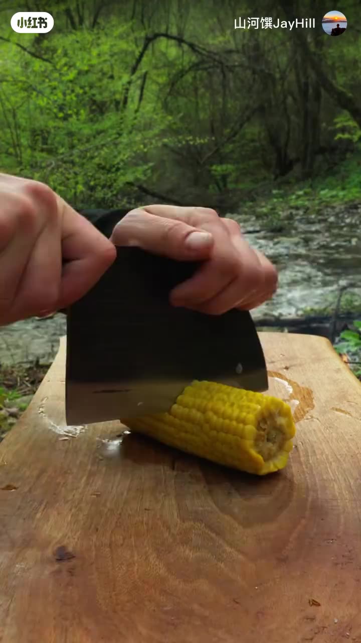 Fresh Salmon Kabobs in nature