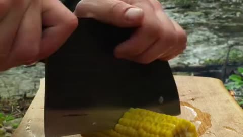 Fresh Salmon Kabobs in nature