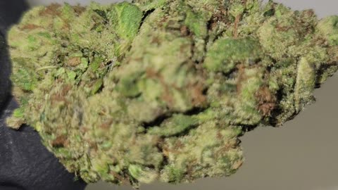 MULE FUEL THC FLOWER