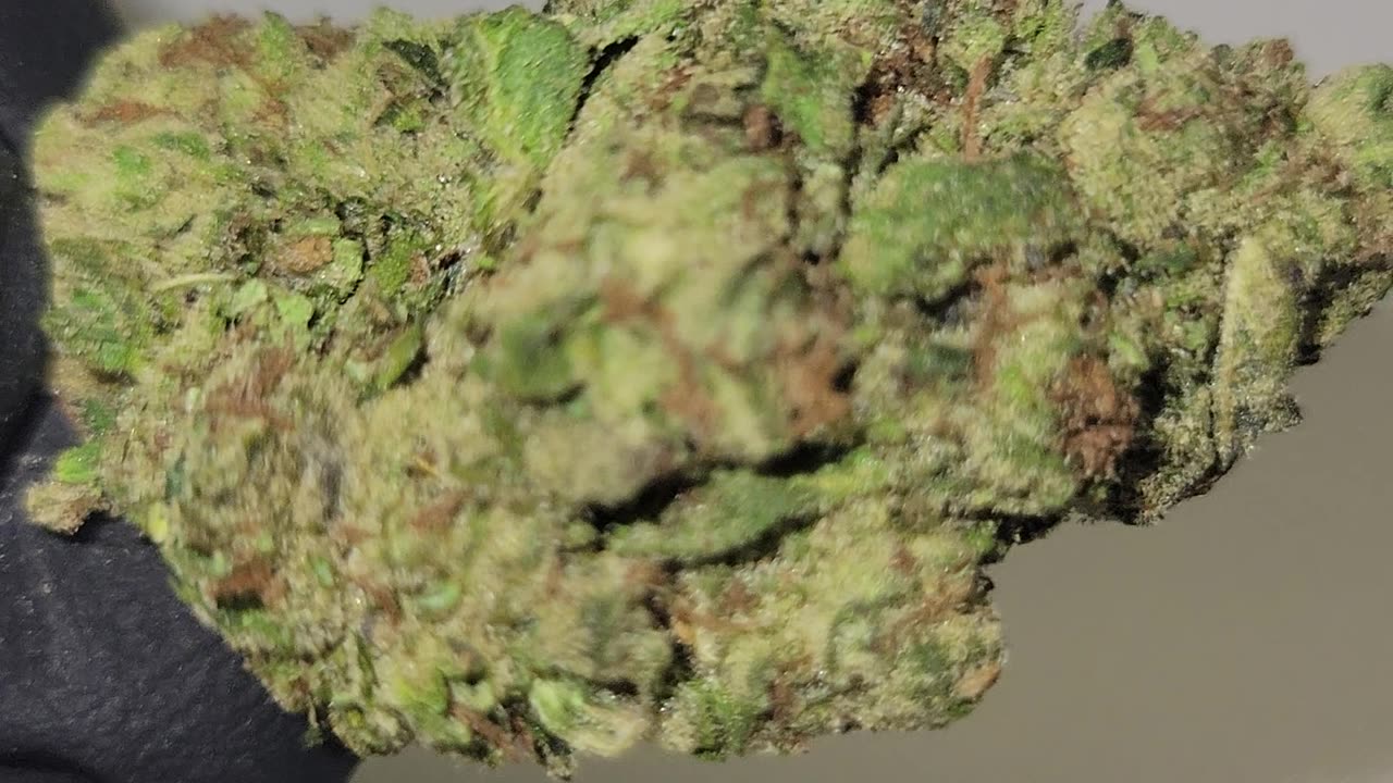 MULE FUEL THC FLOWER