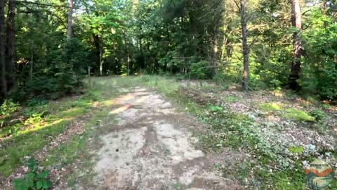NCT through Yankee Springs, HIKE 100 Challenge | Hike POV, ASMR