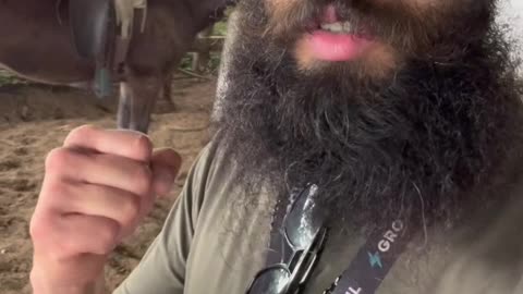 Caballar - Sergio Salgado - Grotul