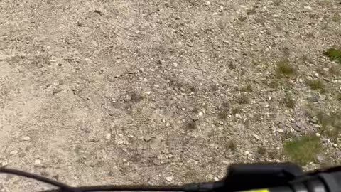Mountain biking