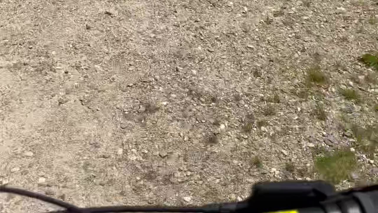 Mountain biking