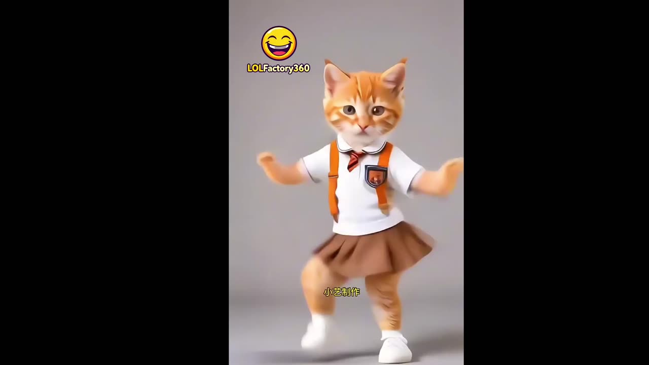 Cute Kitten Dance Must See😍