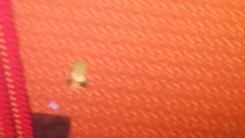 Loki being a retard in lava