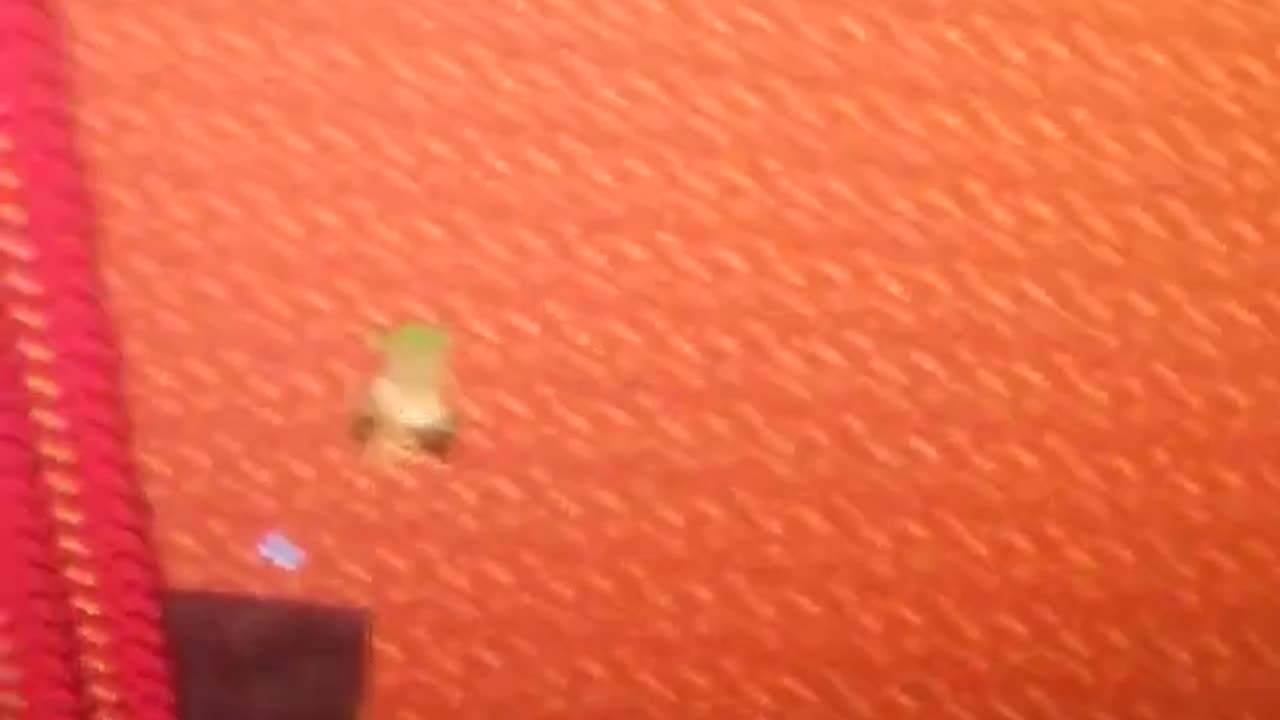 Loki being a retard in lava