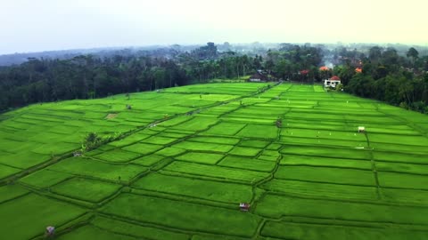4k drone diamond beach bali indonesia
