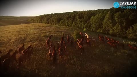 Эта песня будет жить ВЕЧНО!