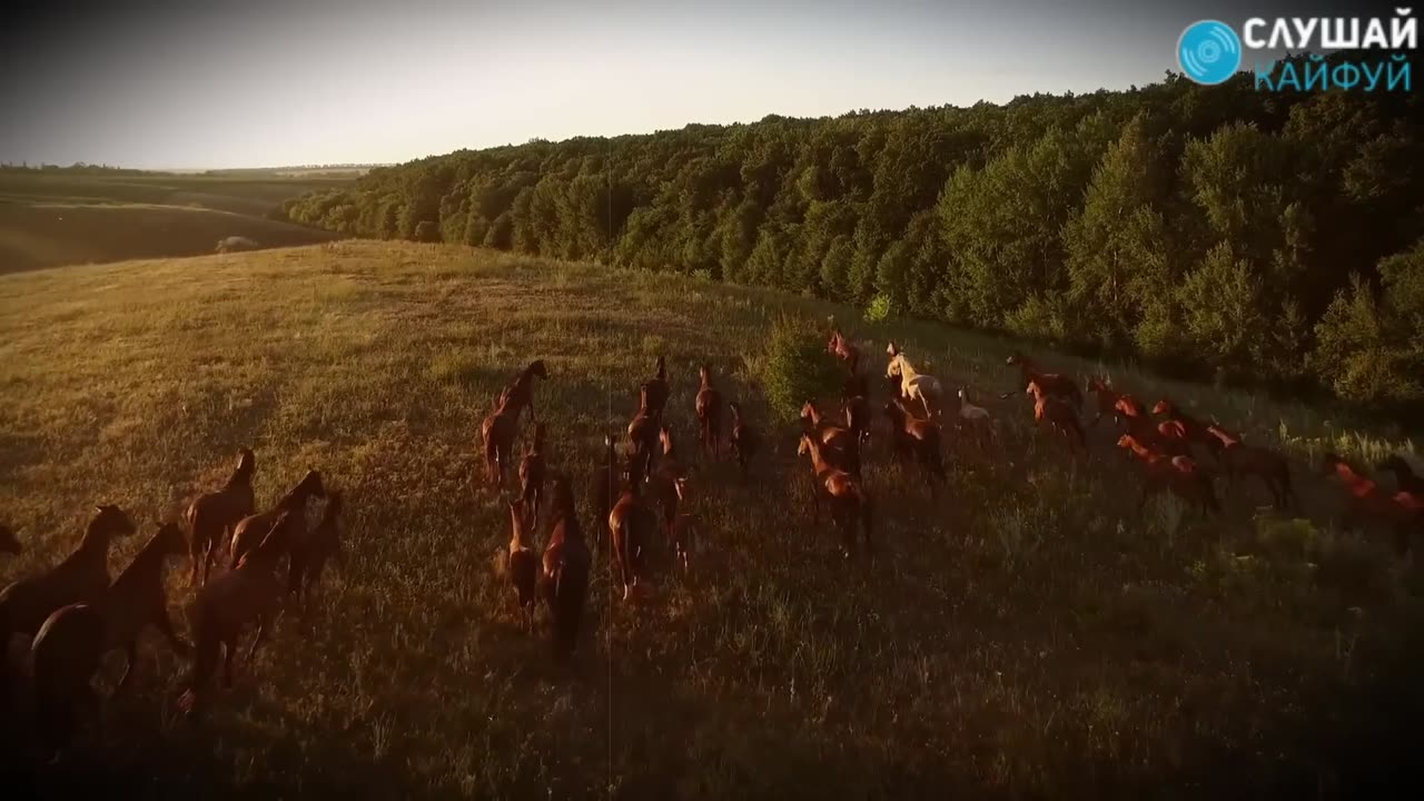 Эта песня будет жить ВЕЧНО!