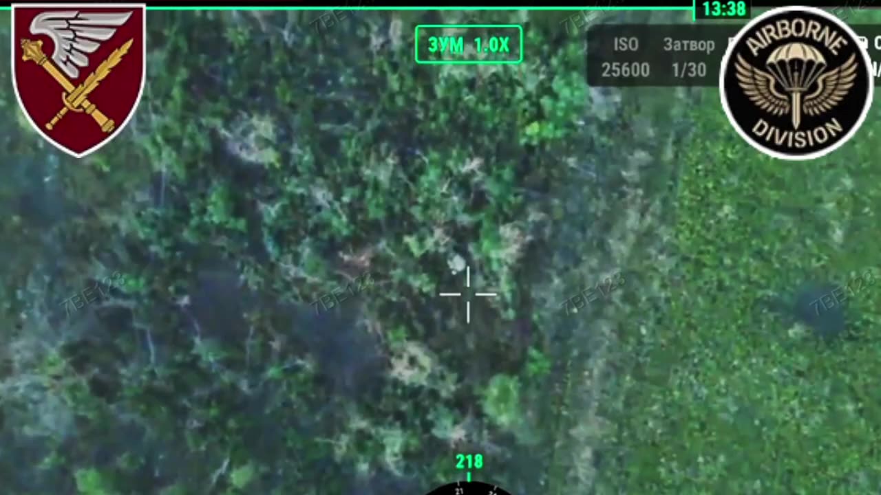 Perfect Drop Catches Russian Infantry Moving Through Forested Area