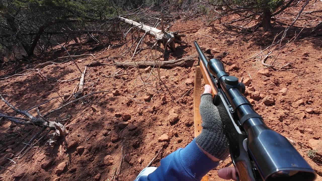 2025 No Mercy Hog Hunt
