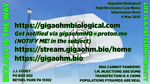 Gigaohm Biological High Resistance Low Noise Information Brief