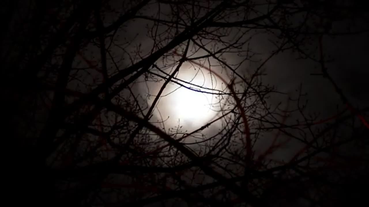 "There is always room for heroic deeds in life..."